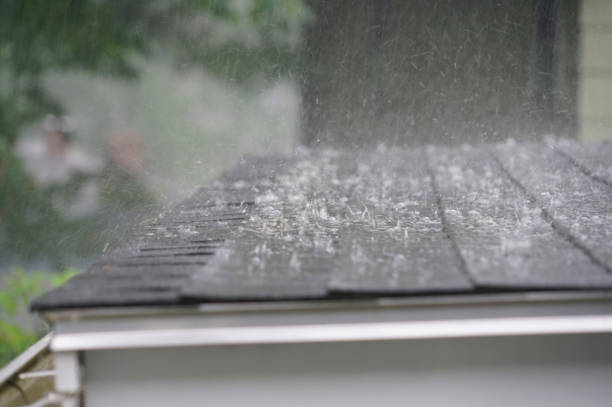 Best 4 Ply Roofing  in Coal Valley, IL